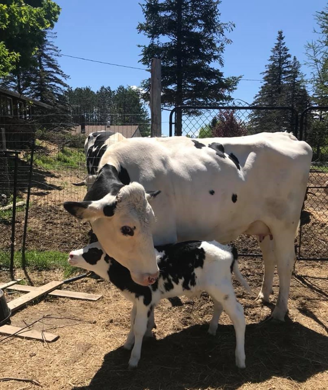 Bailey and Marty at SAFE